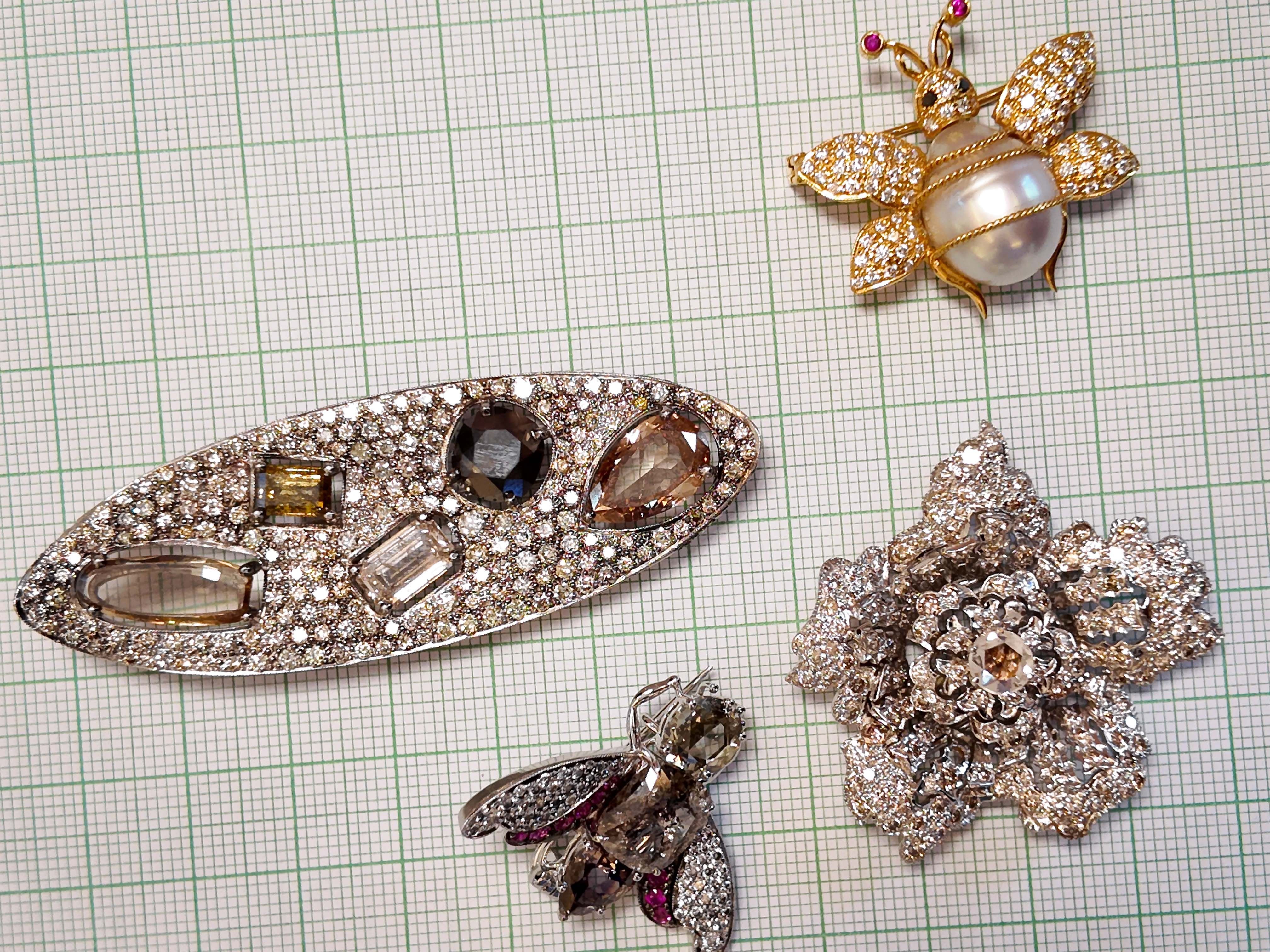 Biren Vaidya's brooch collection