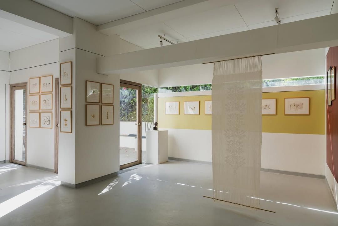 Bougainvillea: The Creative Veranda 