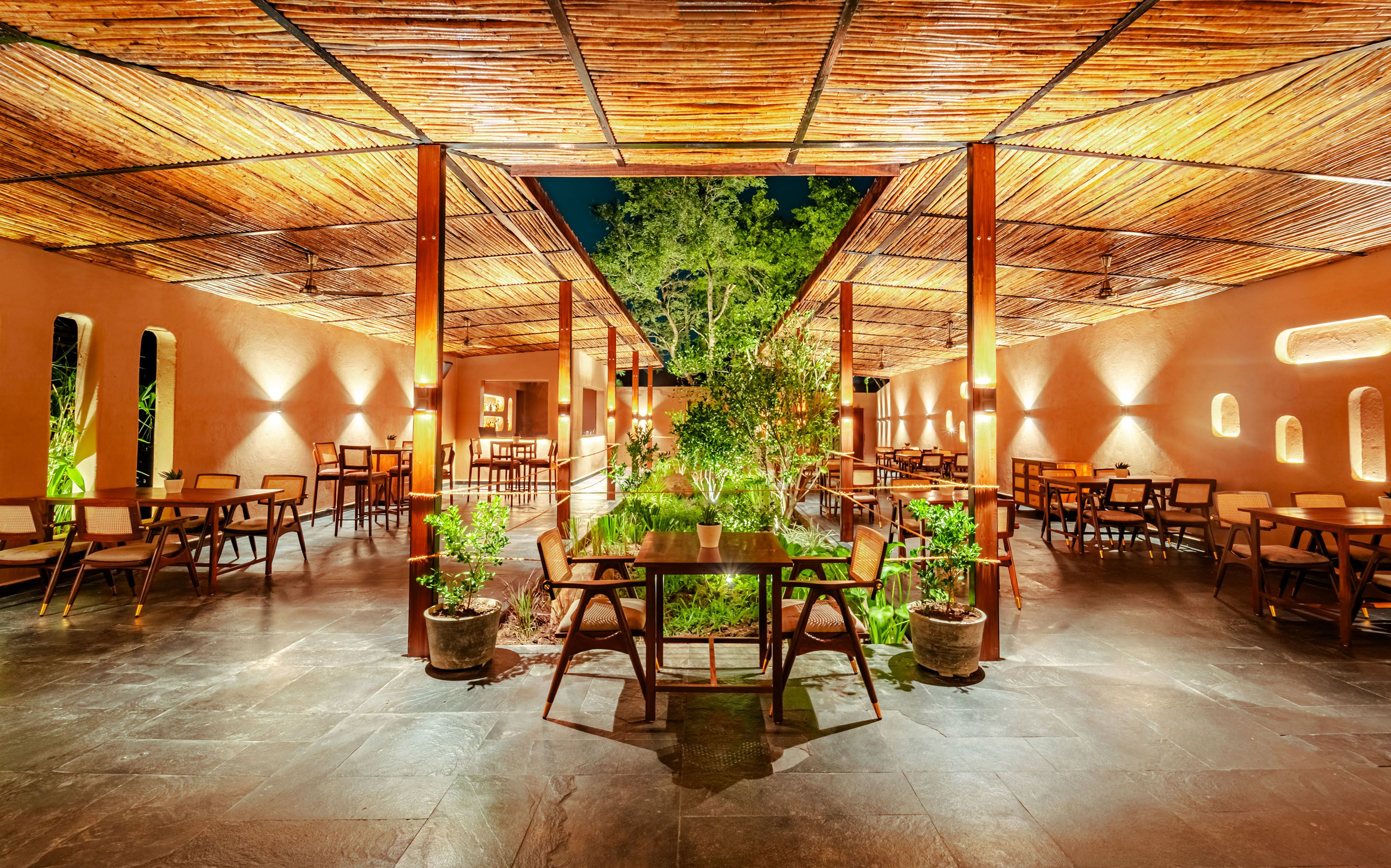 Citrus Garden Project The Nod Mag