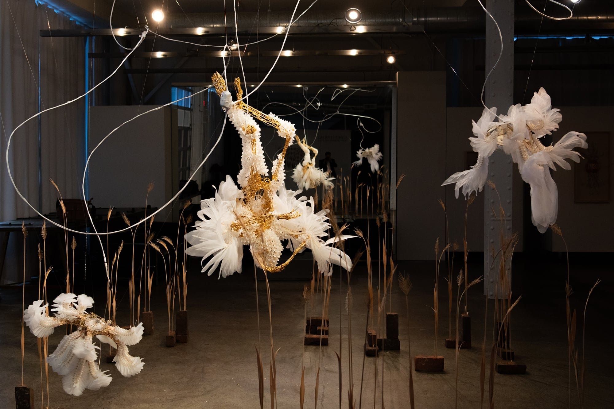 Installation view of Writ Against The Sun by Casey Curran at Heron Arts
