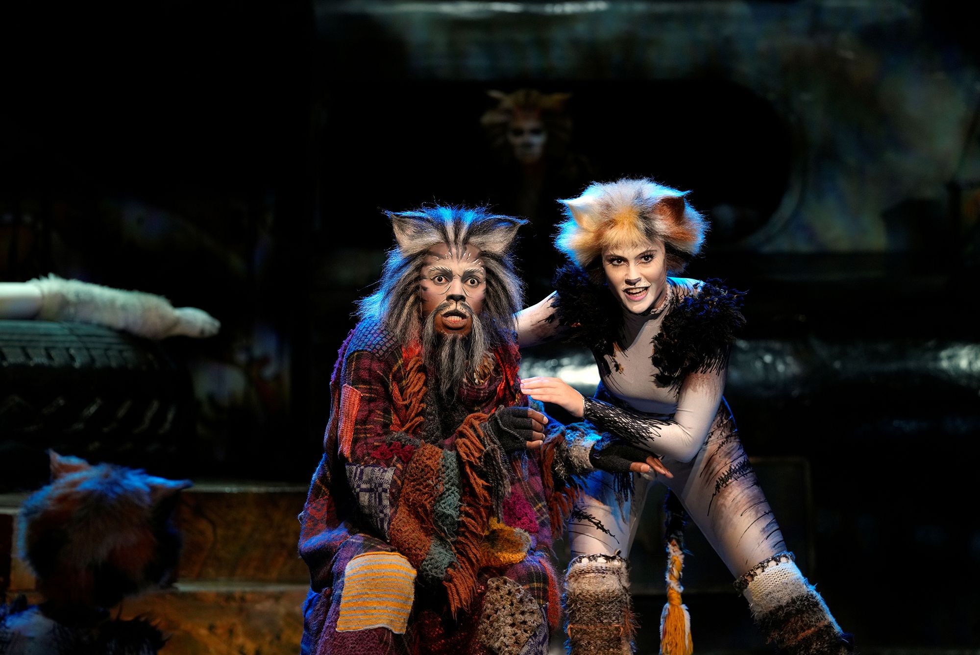 Cats Photo_ Picture Credit_Nardus Engelbrecht 311.jpg
