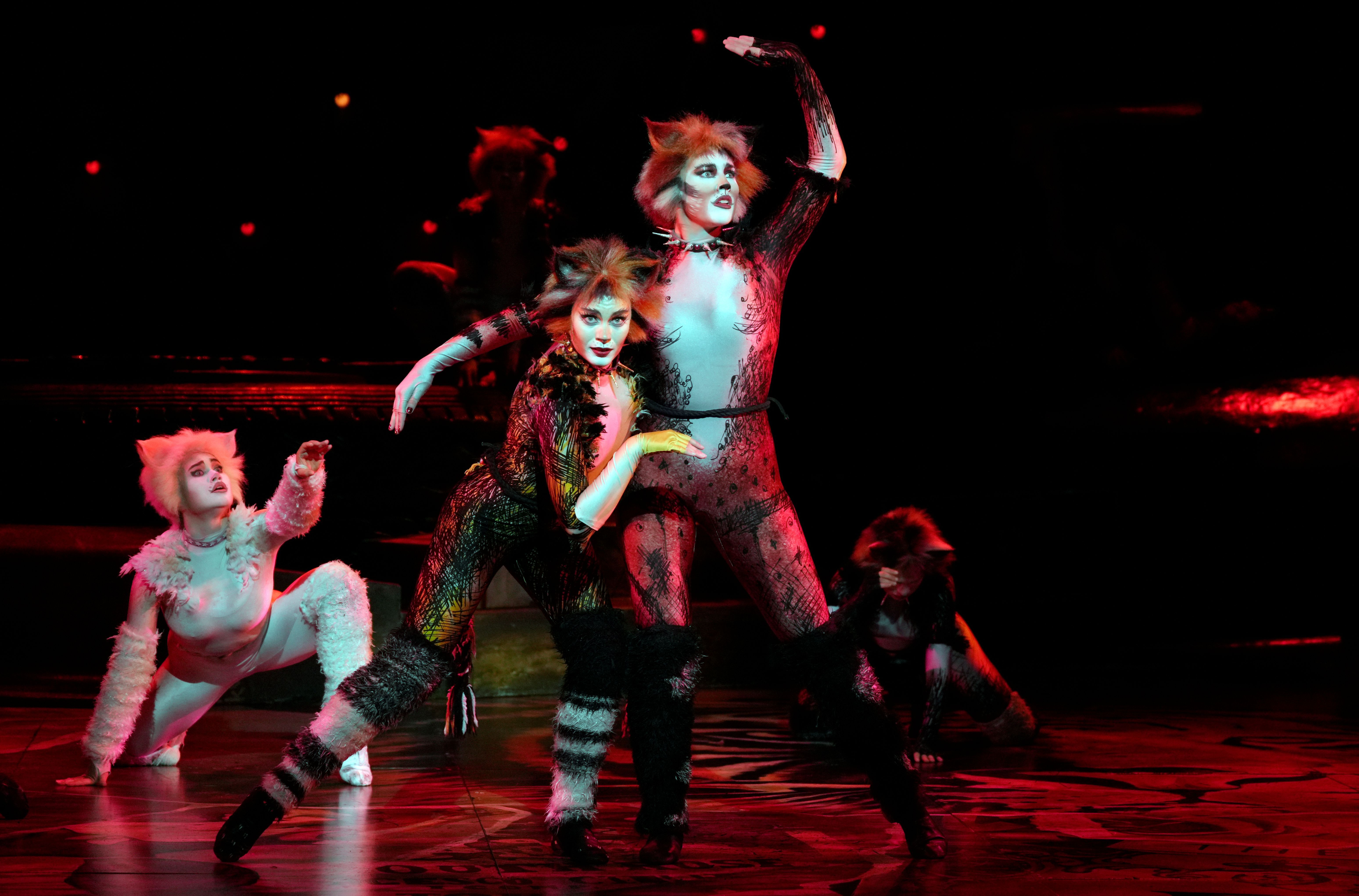 Cats Photo_ Picture Credit_Nardus Engelbrecht 339.jpg