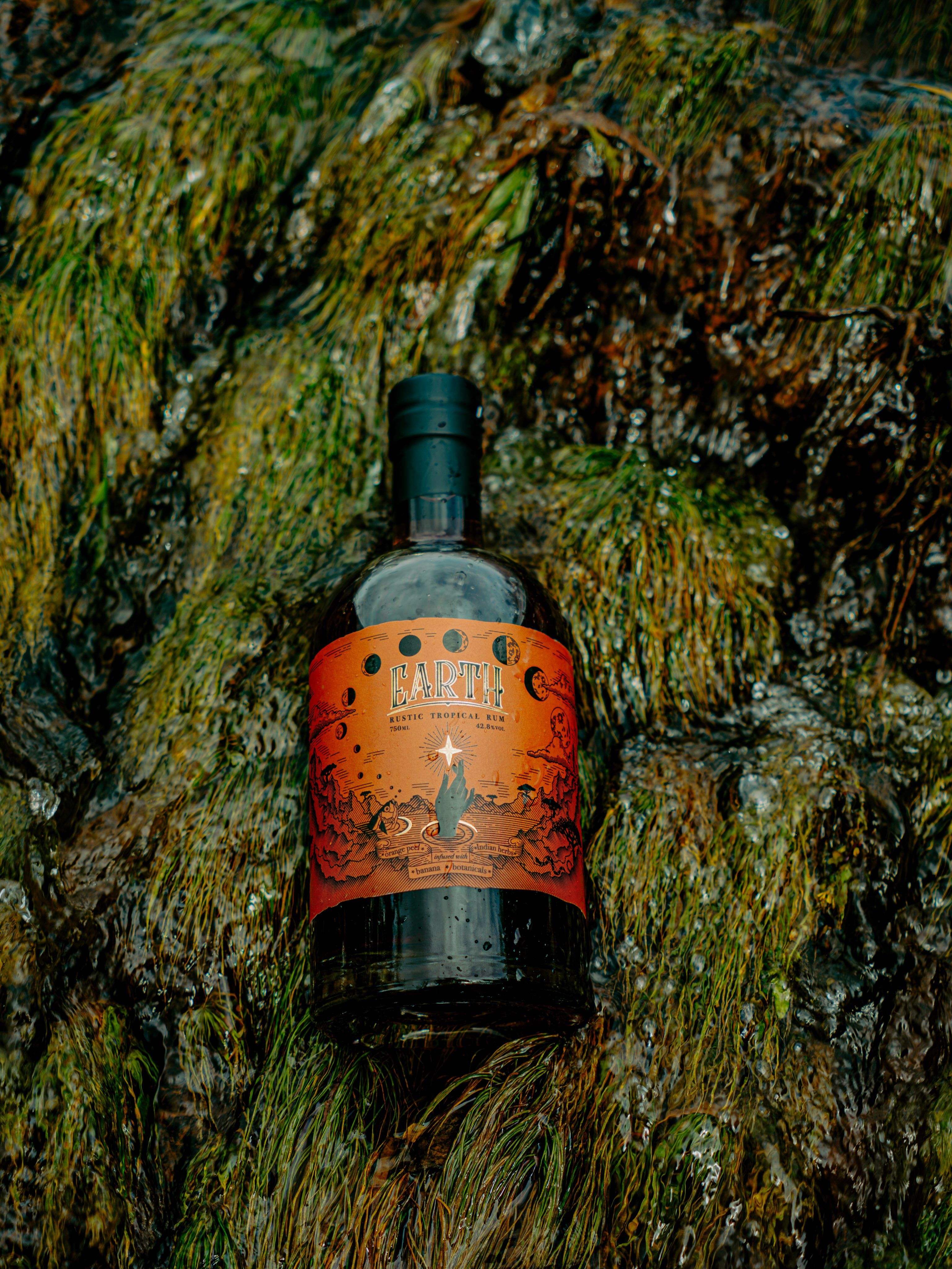 Earth Rustic Tropical Orange_1.jpg