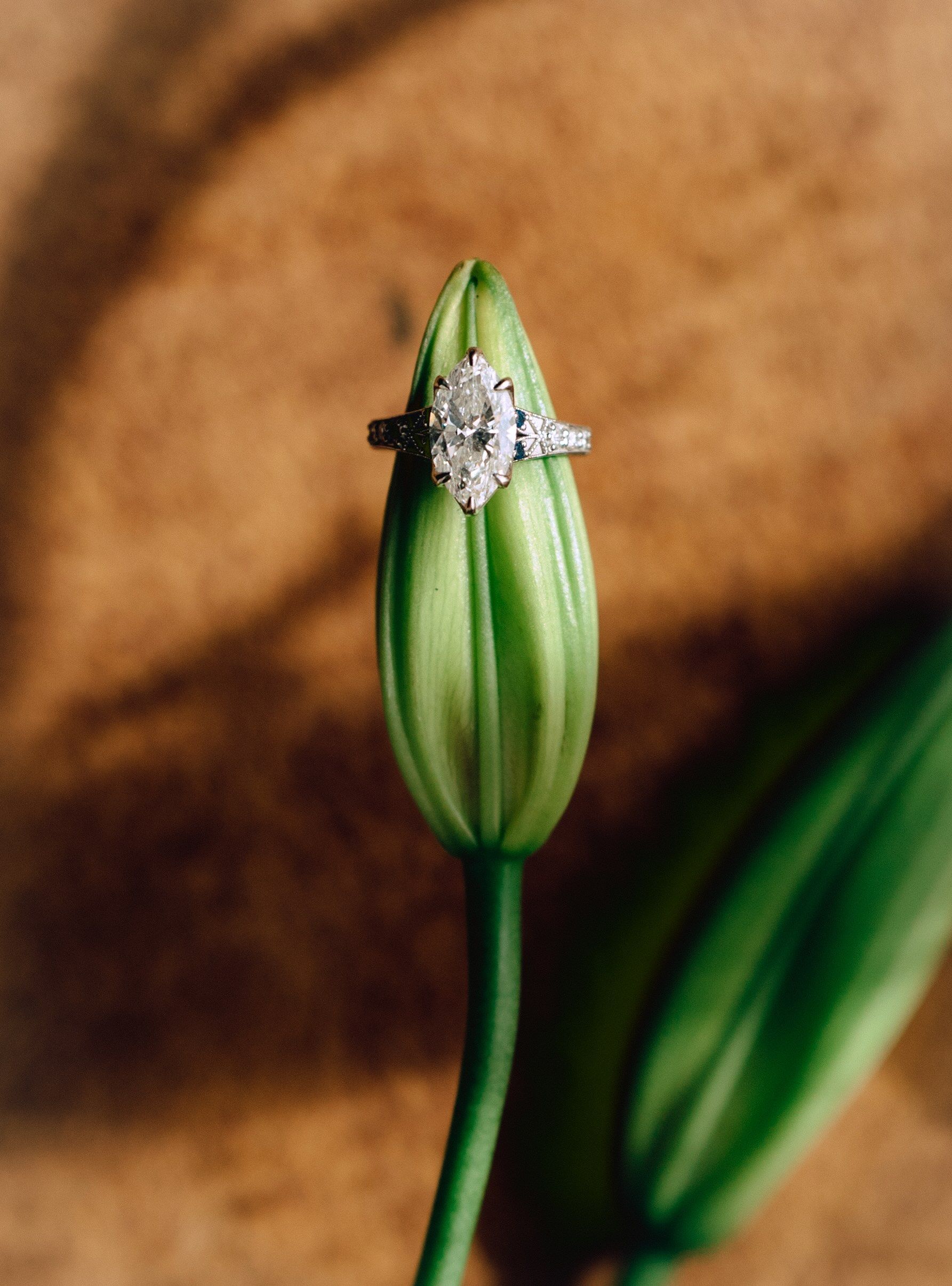 Esther Joshua Srinagar wedding ring_the Nod.jpeg