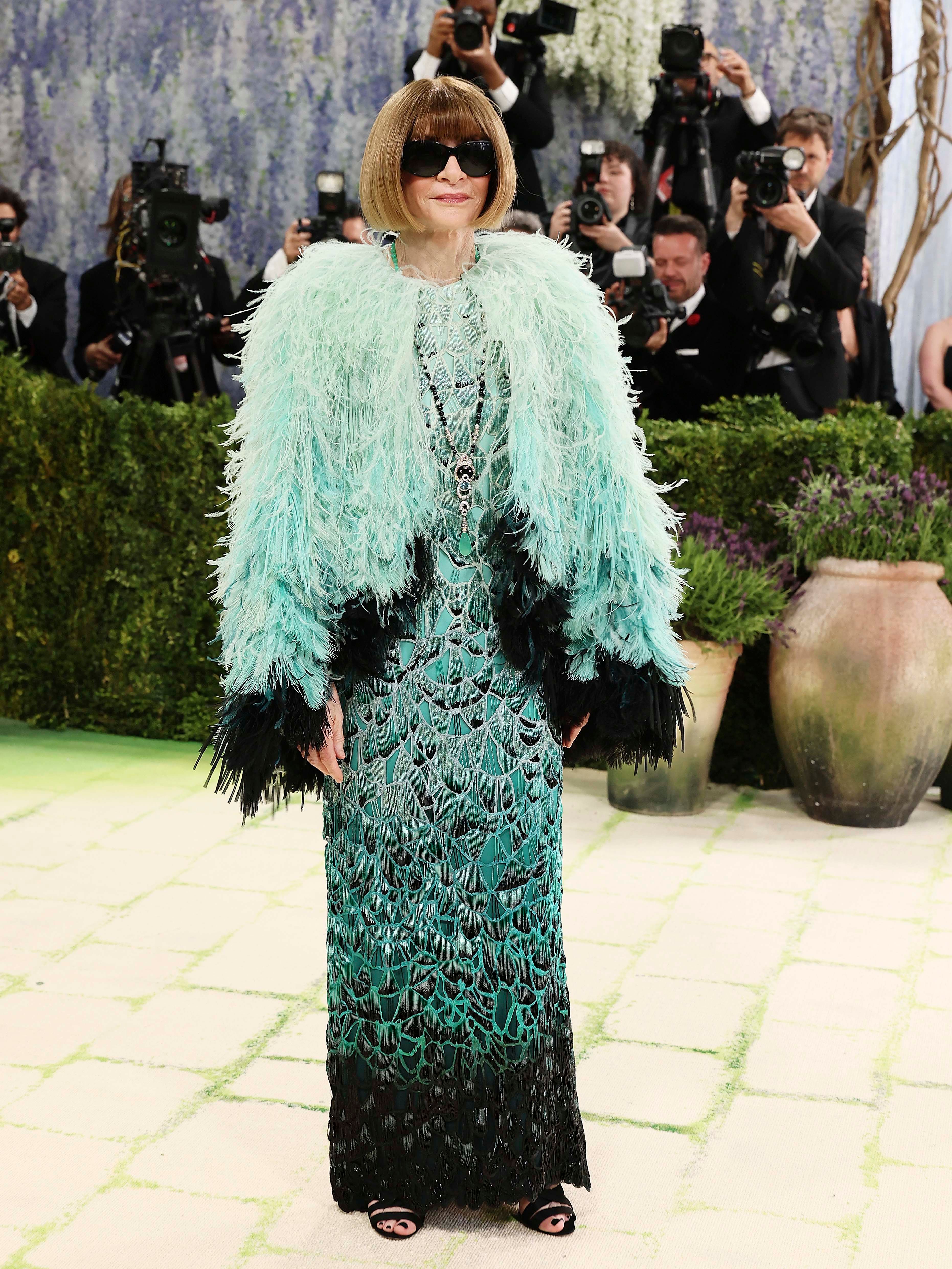 Anna Wintour Met Gala 2026