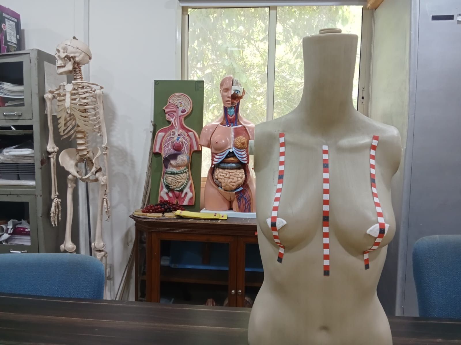 Discovering Hands patented the medicated DOKOS tapes that have braille numbers and colour codes that help MTEs detect any tumours 