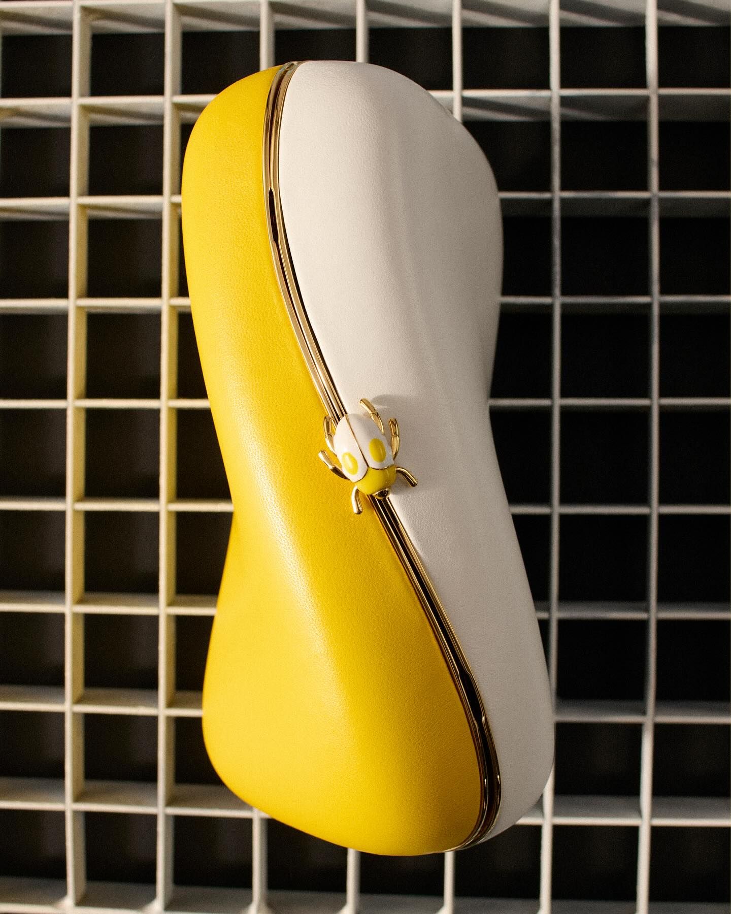 Loewe bag