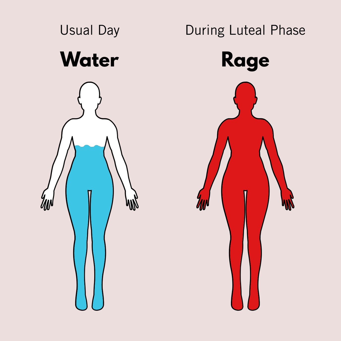 A meme that depicts the human body during the luteal phase