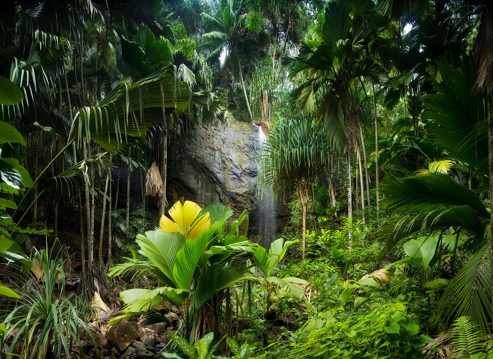 Seychelles.jpg