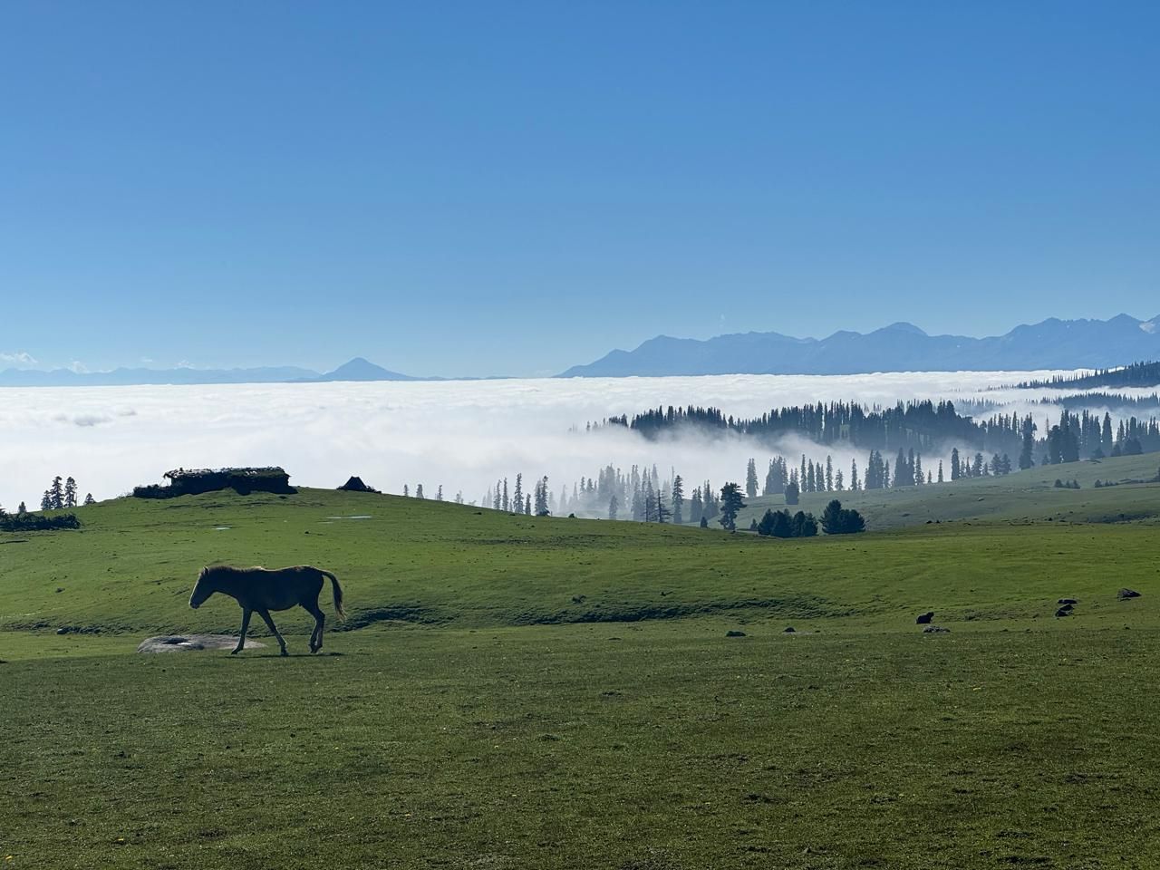 WhatsApp Image 2026-04-02 at 5.01.32 PM.jpeg