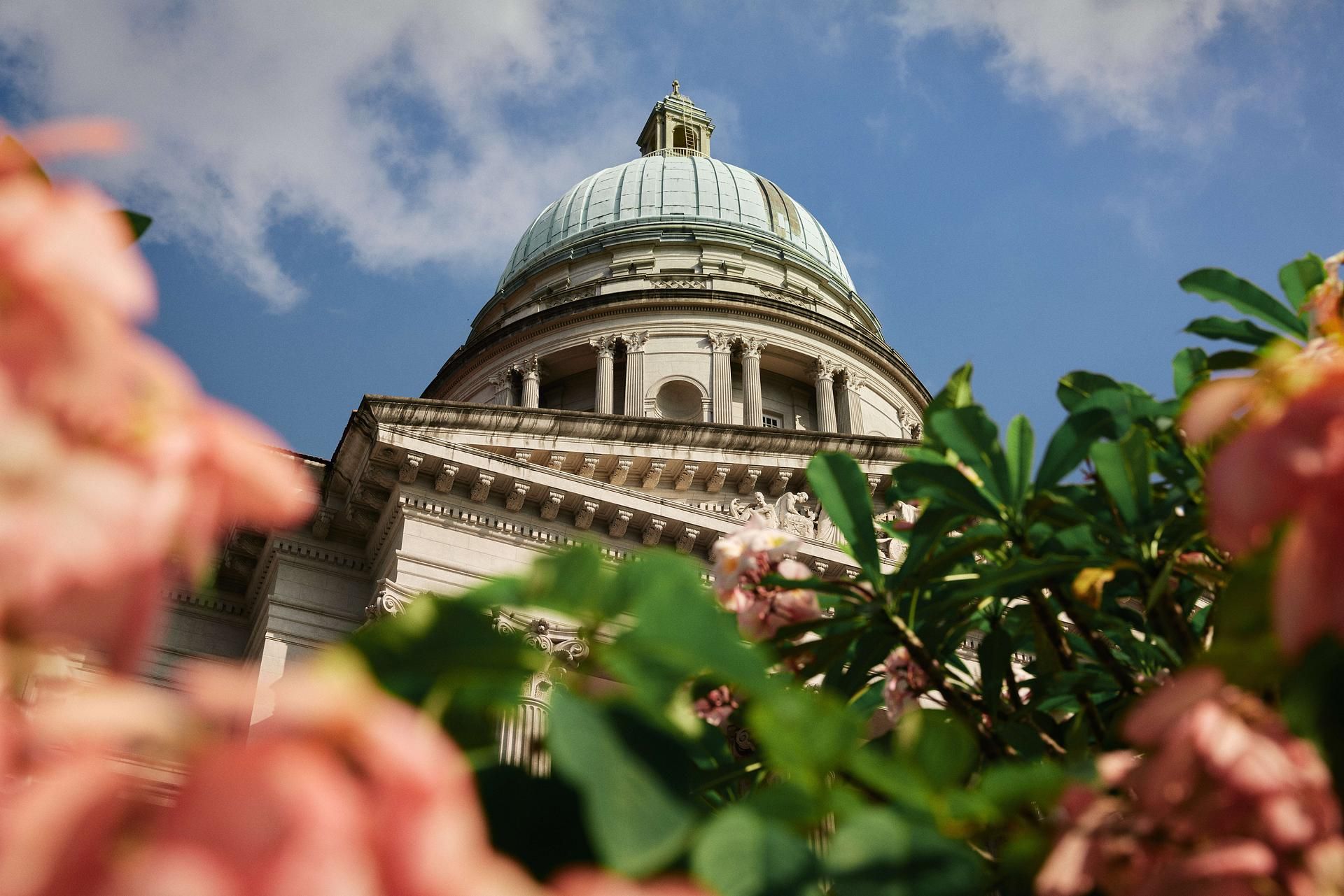 White Dome Building Floral Foreground, National Gallery Singapore_medium.jpg