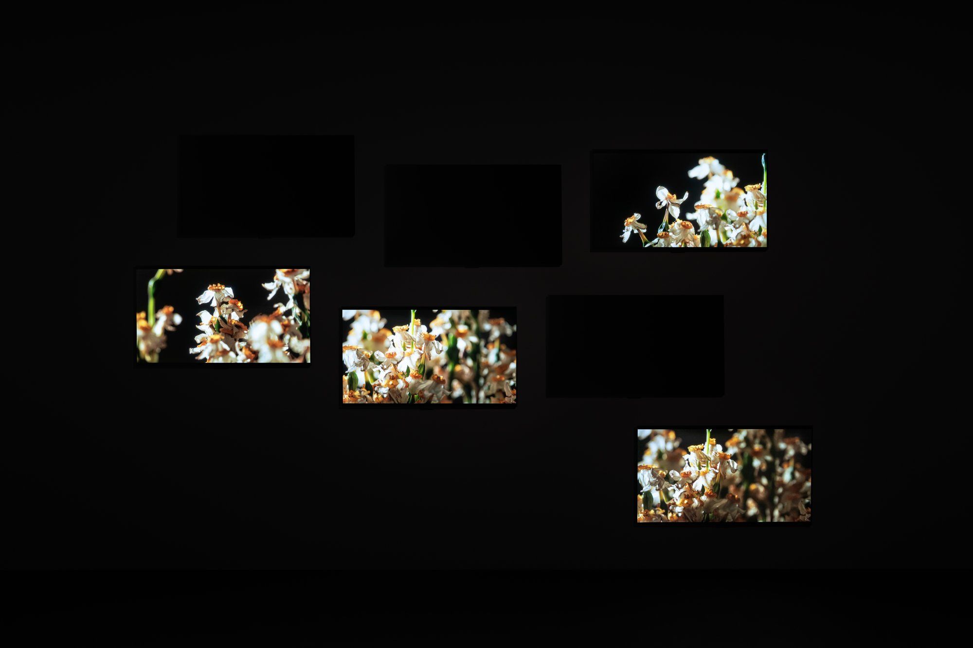 pinaultcollection(3).com